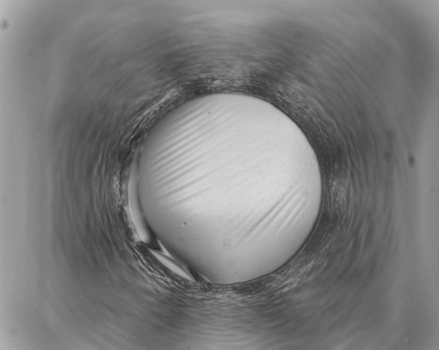 X0000086931250200705071344