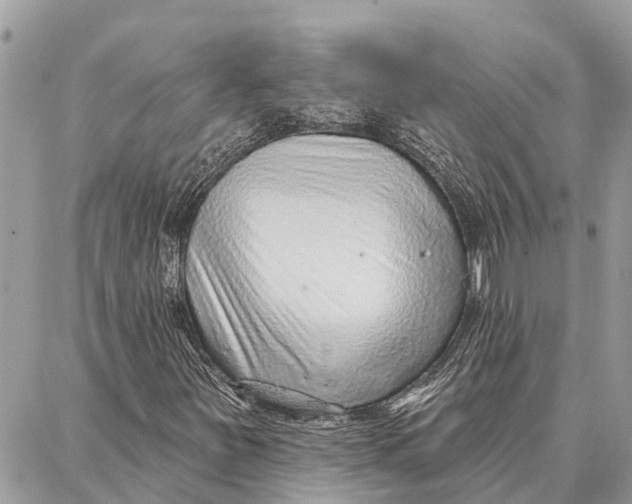 X0000086931251200705071344