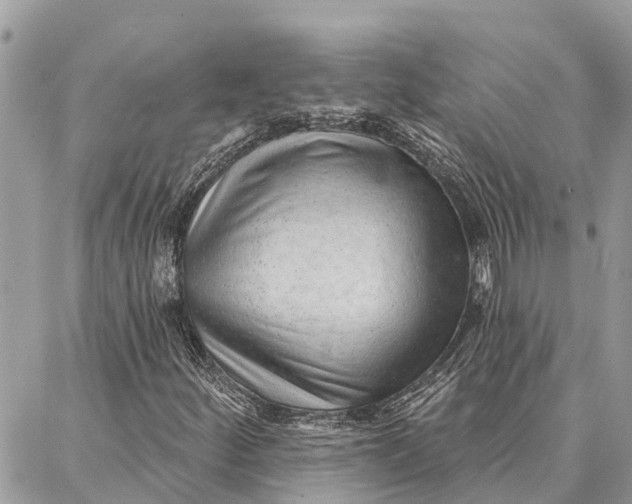 X0000086931252200705071344