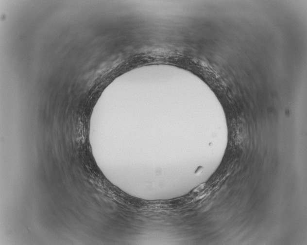 X0000086931253200705071344