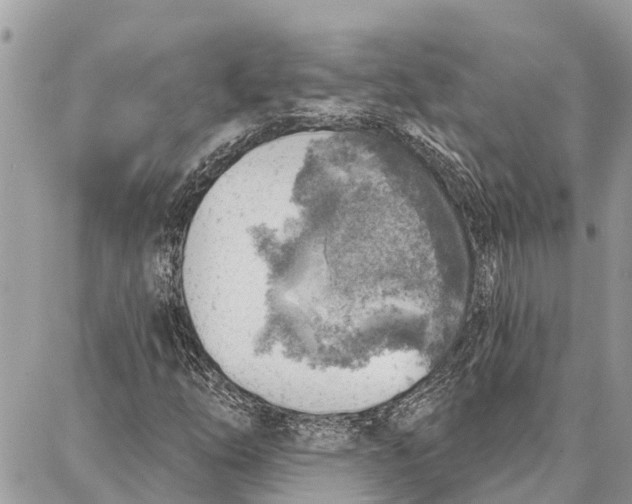 X0000086931254200705071344