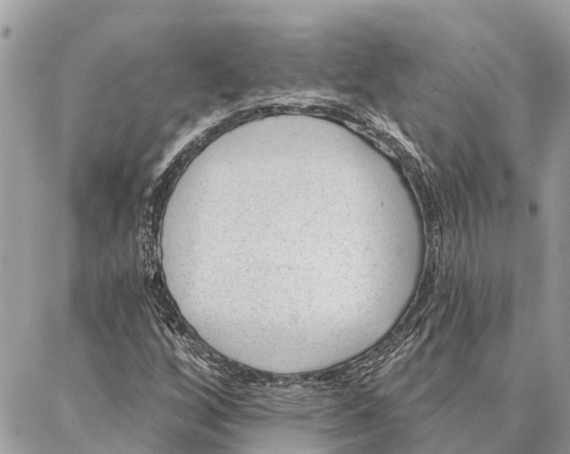 X0000086931256200705071344