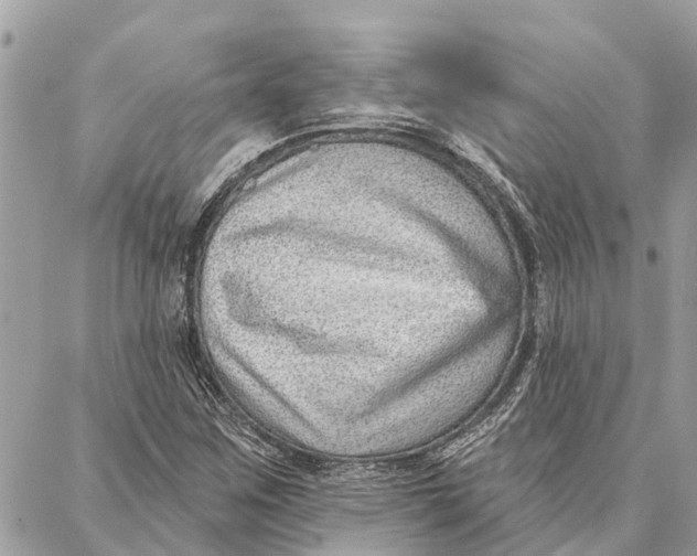 X0000086931259200705071344