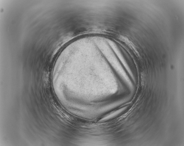 X0000086931260200705071344