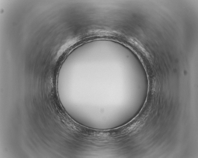 X0000086931261200705071344