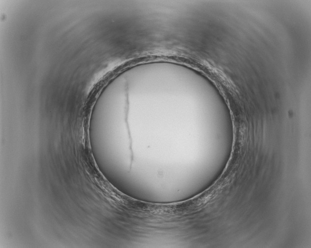 X0000086931262200705071344