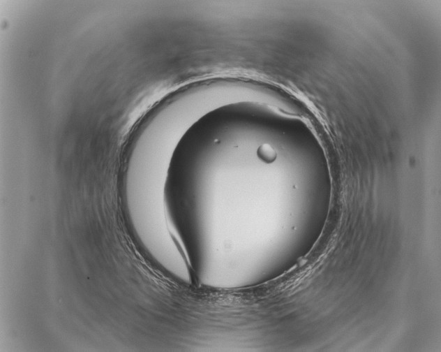 X0000086931263200705071344