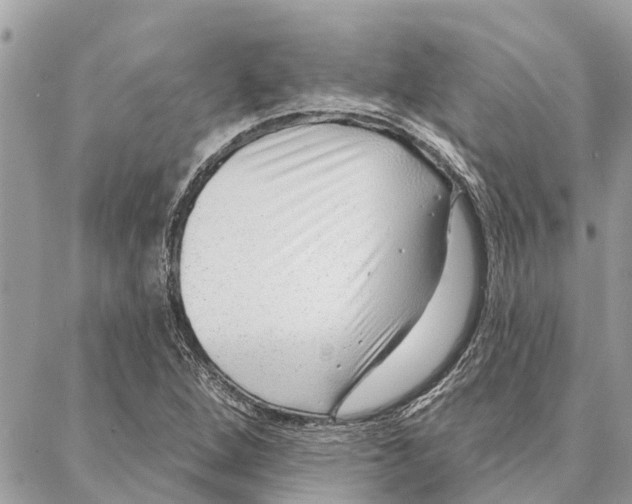 X0000086931264200705071344