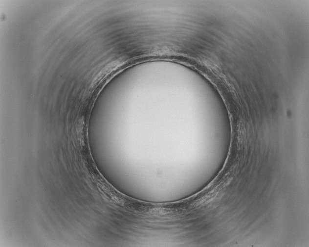 X0000086931265200705071344