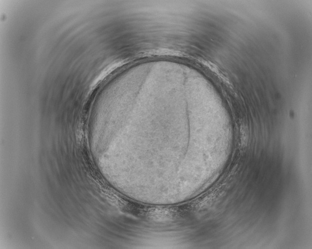 X0000086931266200705071344