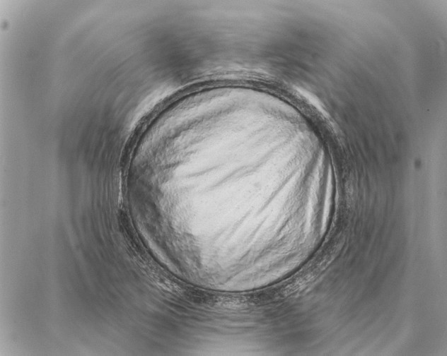 X0000086931267200705071344