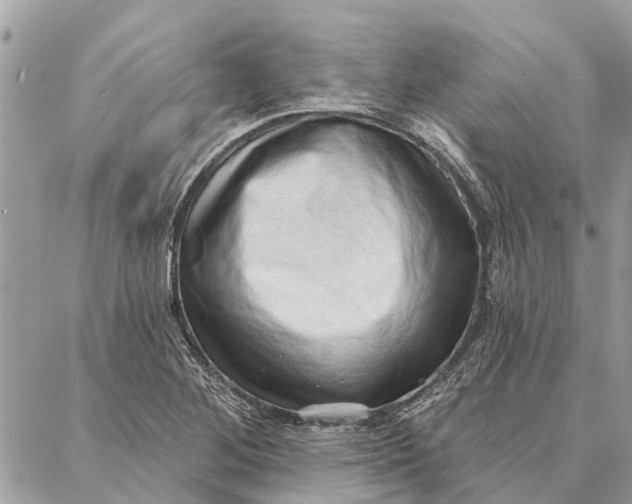 X0000086931268200705071344