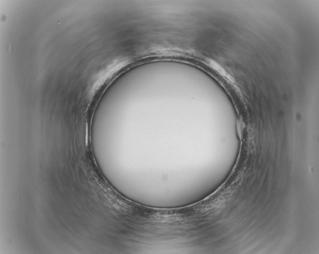 X0000086931269200705071344