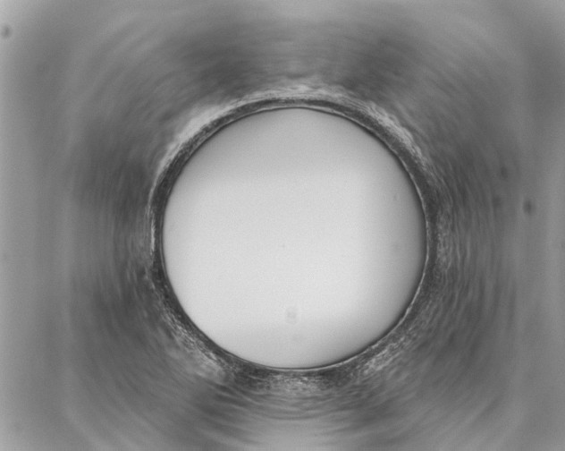 X0000086931270200705071344