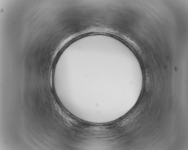 X0000086931272200705071344