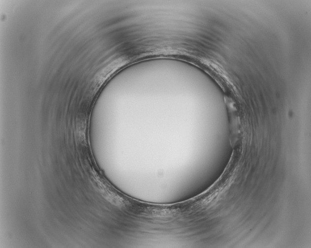 X0000086931273200705071344