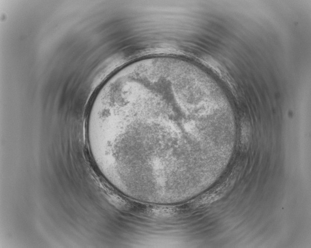 X0000086931274200705071344