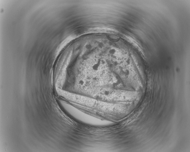 X0000086931275200705071344