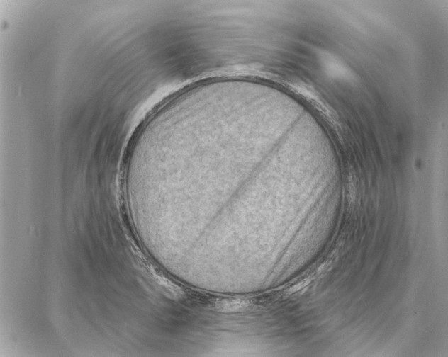 X0000086931278200705071344