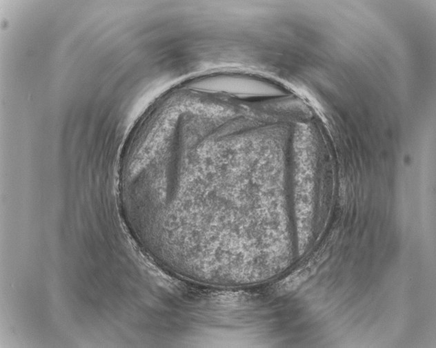 X0000086931279200705071344