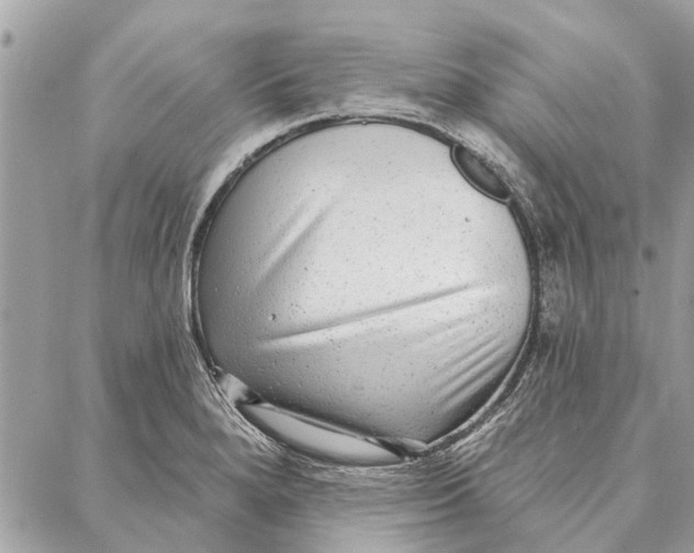 X0000086931280200705071344