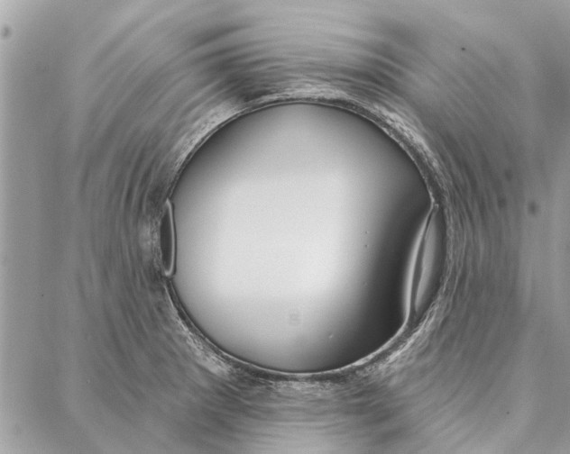 X0000086931281200705071344