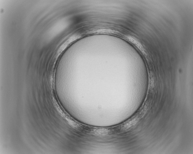 X0000086931282200705071344