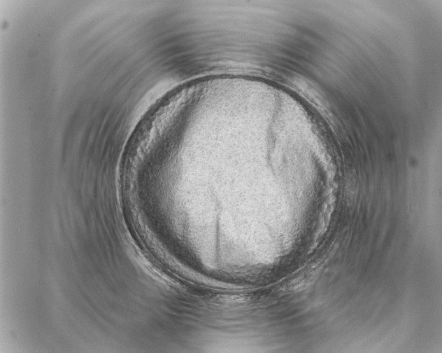 X0000086931283200705071344