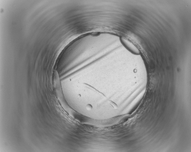 X0000086931284200705071344