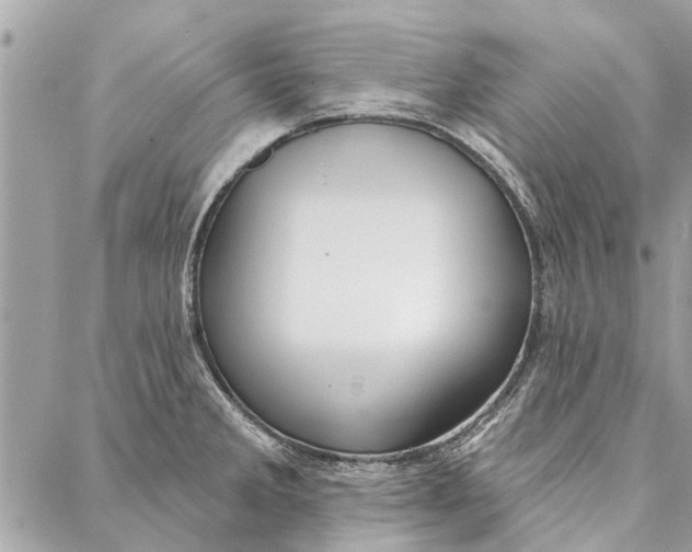 X0000086931285200705071344