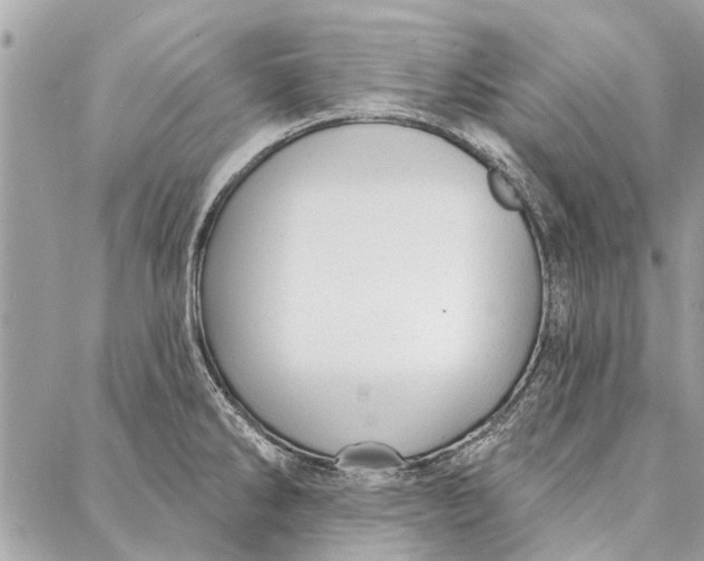 X0000086931286200705071344