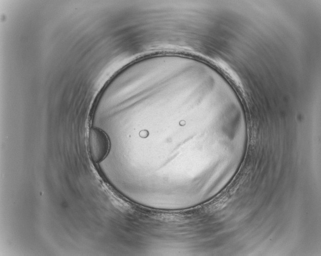 X0000086931287200705071344