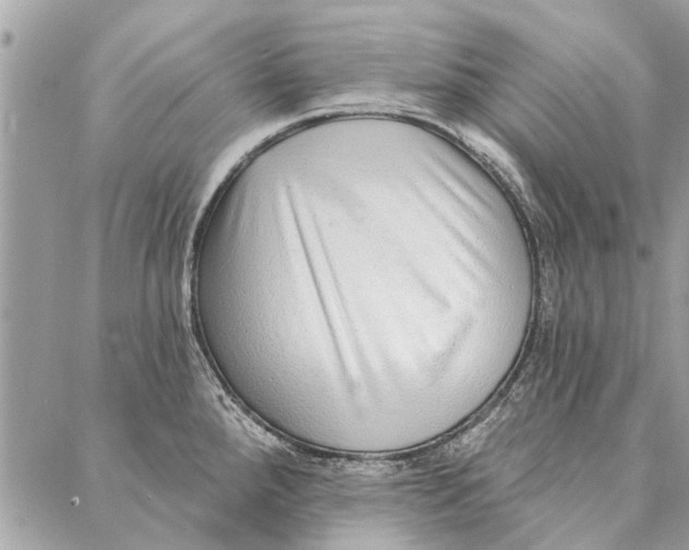 X0000086931288200705071344