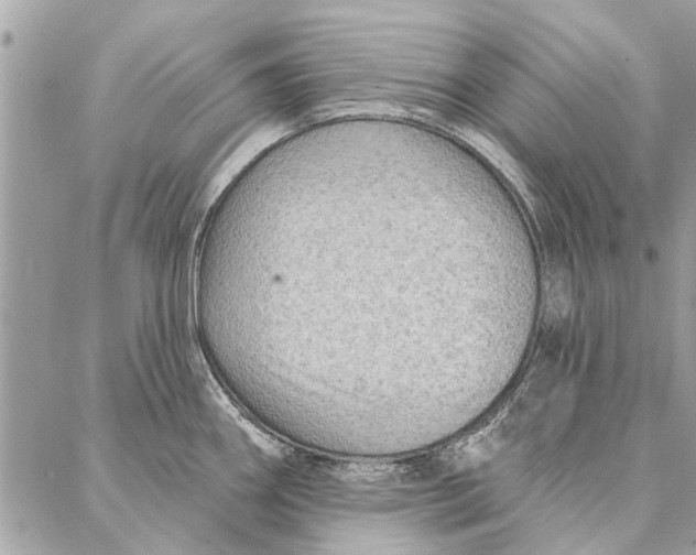 X0000086931290200705071344