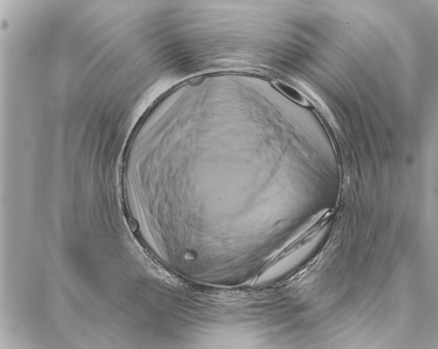 X0000086931291200705071344