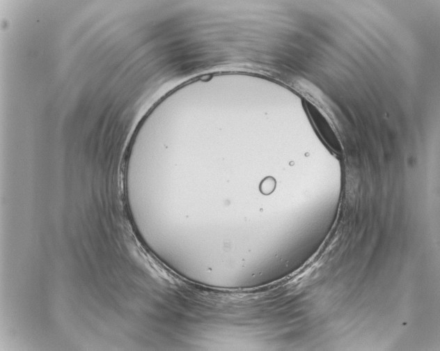 X0000086931292200705071344