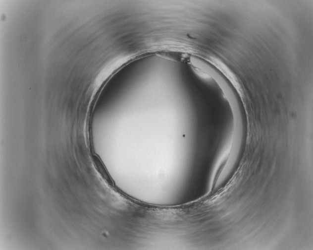 X0000086931293200705071344