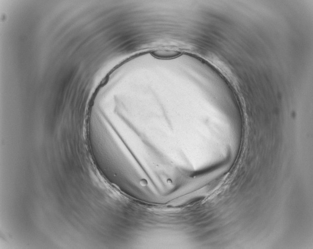 X0000086931296200705071343