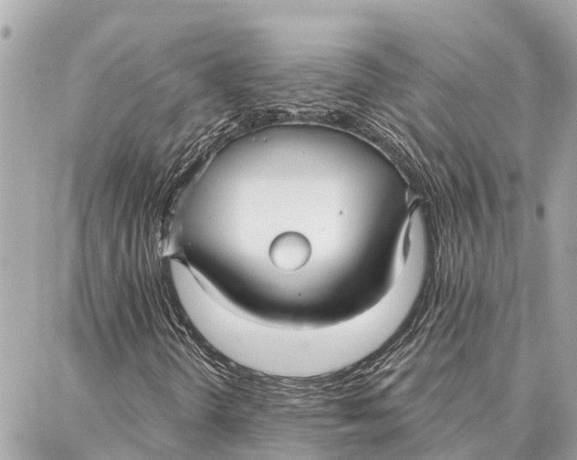 X0000086931298200705071343