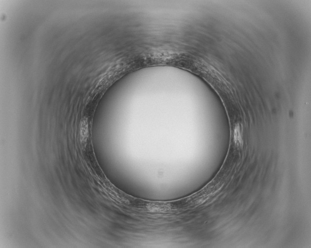 X0000086931299200705071343