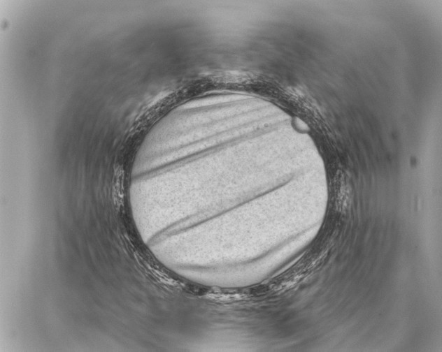 X0000086931301200705071343