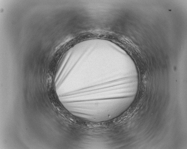 X0000086931302200705071343