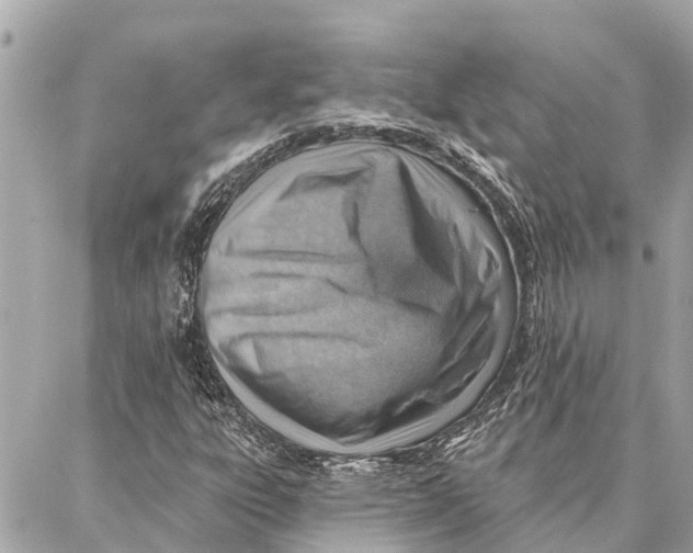 X0000086931303200705071343