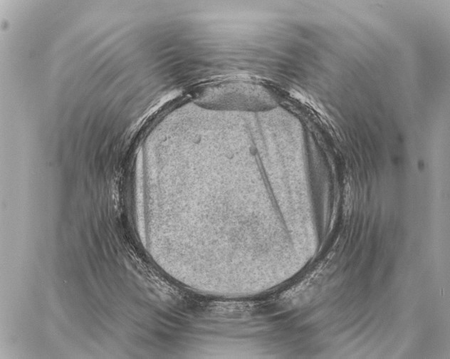 X0000086931305200705071343