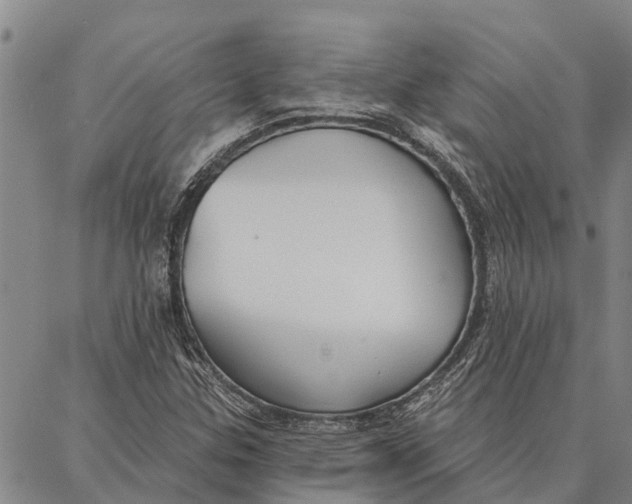 X0000086931307200705071343