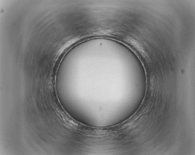 X0000086931308200705071343