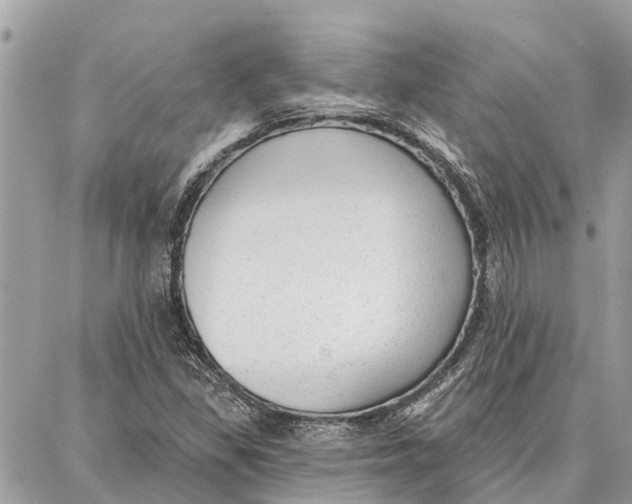 X0000086931309200705071343