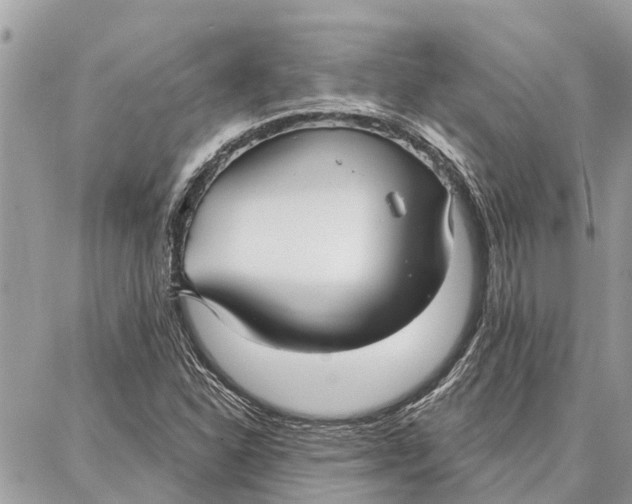 X0000086931310200705071343