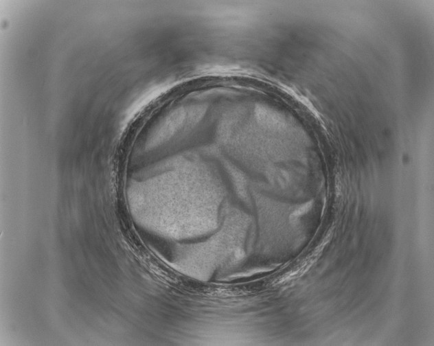 X0000086931311200705071343