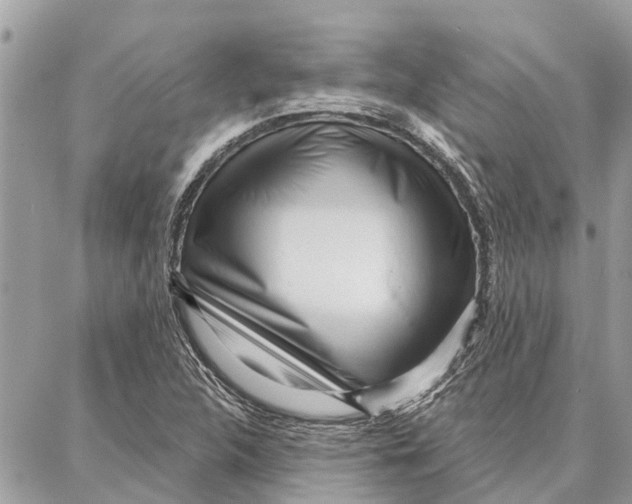 X0000086931312200705071343